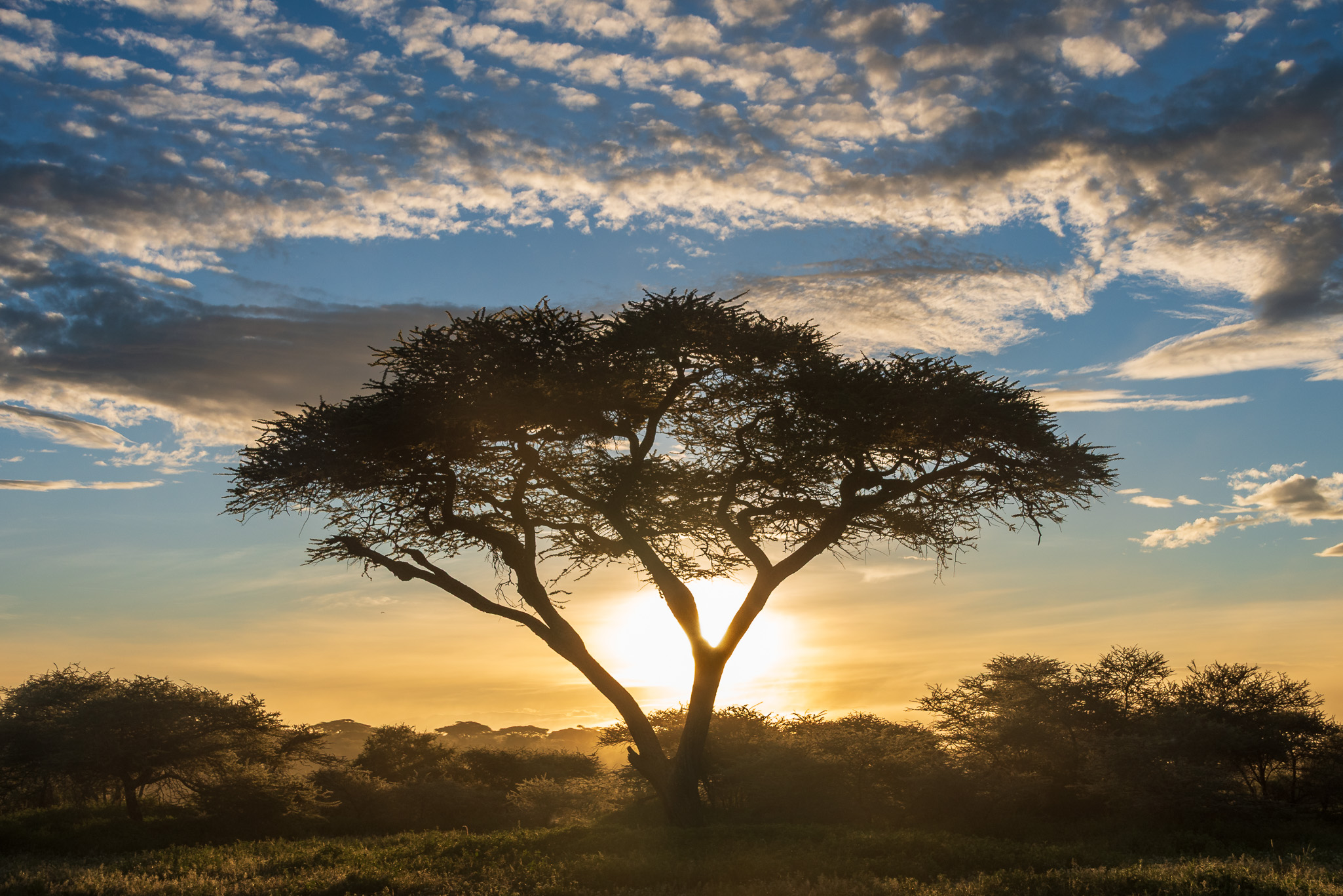 Tanzania